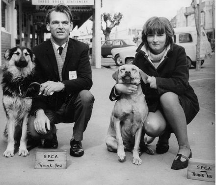 Mr Tod & Miss Tindale, Collecting for S.P.C.A., 1969