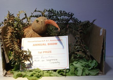 Fruir or vegetable novelty 1st prize - Resource cover image