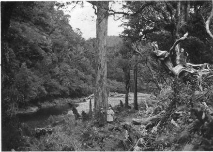Two woman (unidentified) standing by tree on riverbank, early 1920's