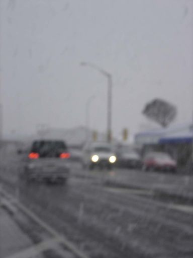 Oxford St. looking south from Swazi - Resource cover image