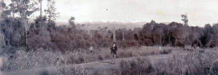 Postcards album - Resource cover image