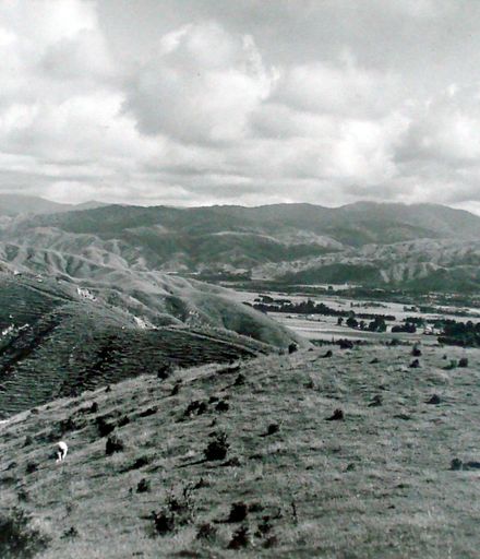 Hautere and Otaki Gorge from Pukehau Hill