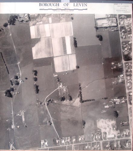 Aerial survey photograph (Levin)