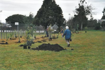 Levin Adventure Park photo 22 - Resource cover image