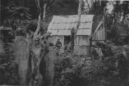 Jimmy Burton's 'house', Mangahao