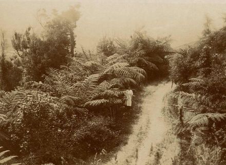 Woman standing on Heights Road, 1914