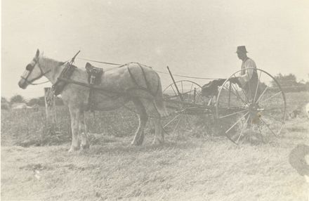 Haymaking at Manakau -  horse drawn hay turner / hayrake - Resource cover image