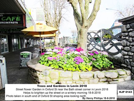 HJP 0143  Street flower Garden in Oxford St near the Bath street corner in Levin 2018 - Resource cover image
