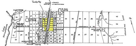 Levin Village Settlement - map March 1889 - Resource cover image
