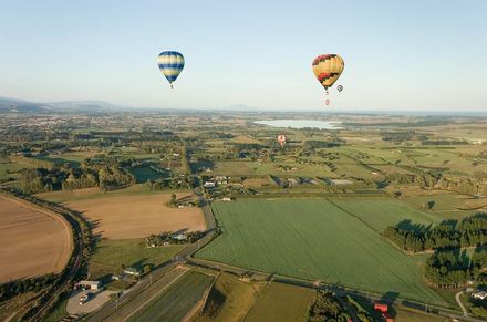 In Flight - Photo by Trevor Heath - Resource cover image