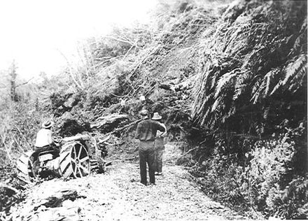 Clearing storm damage, Mangahao access road, 1936