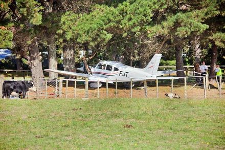Plane crash at Foxtpine Air Park, Foxton