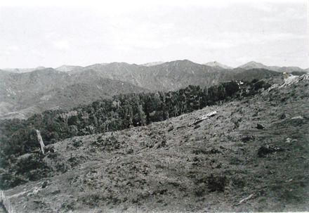 Landscape - Foothills of Tararua Ranges