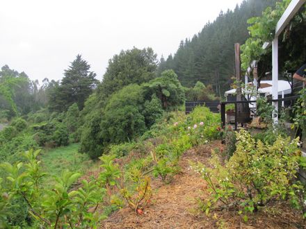 Garden 7 Planting in front of deck - Resource cover image