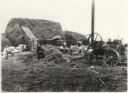 Threshing hay at Weraroa Boy's Training Farm, 1912.