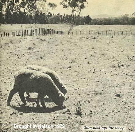 Drought in Nelson 1979