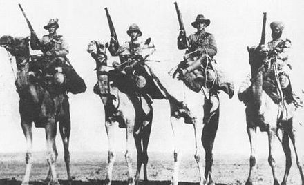 John Gordon BURR camel corps