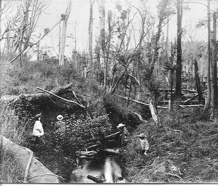 Three Adkin children and their mother, 'Cheslyn Rise'.