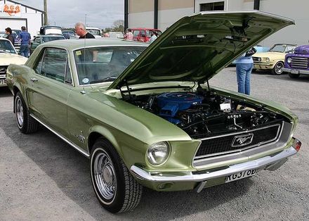 Mustang - more info required - Resource cover image