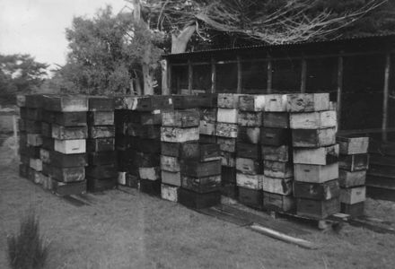Reconditioned bee boxes, Field's Apiaries