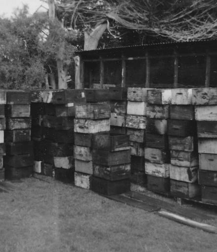 Reconditioned bee boxes, Field's Apiaries