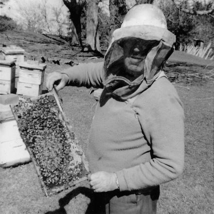 Field's Apiaries head employee, 1967-68 season, Foxton