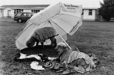 Foxton School Calf Day