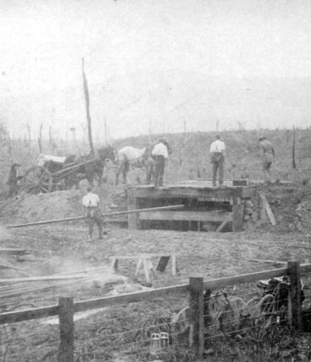 Pit sawing timber at Shannon