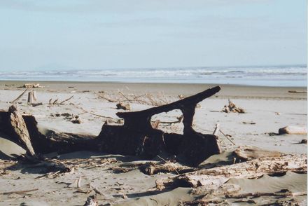 'Hydrabad' wreck on Waitarere Beach, 2002