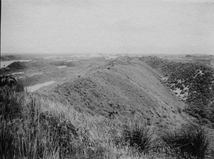 Inland Sand Dunes to the West of Lake Horowhenua