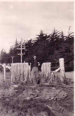 Man Standing by Fence of Flax Fibre