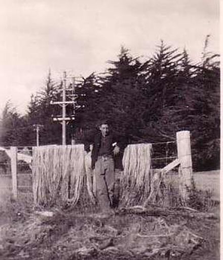 Man Standing by Fence of Flax Fibre