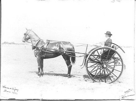 Flora & Gypsy, 1911 Show