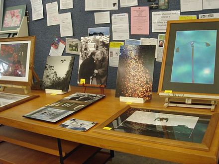 Paul Knight photography