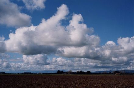 Ploughed fields, Tane Road, Opiki