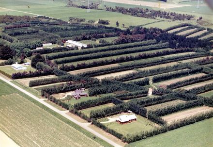 Aerial view of Matatoa Nursery, Engles Road (east of Shannon), 1987 - Resource cover image