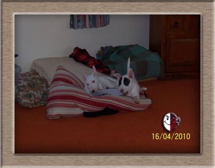 Bullies 4 Me - Resource cover image