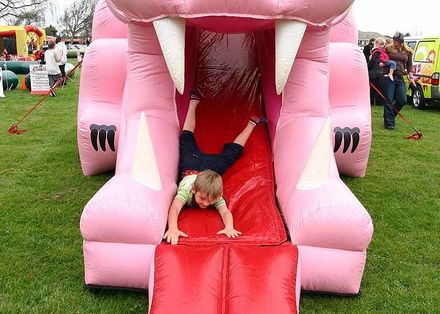 Pink dragon bouncy castle / slide