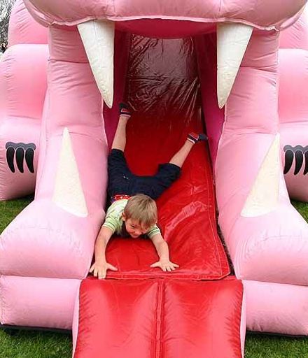 Pink dragon bouncy castle / slide