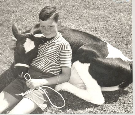 Boy (unidentified) with pet calf