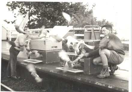 Start of Pigeon Race, Levin to Wanganui - Resource cover image