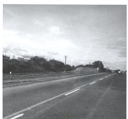 Horowhenua District Council collection - S.H.1. Avenue North beautification.