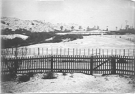 Snow on McDonald property