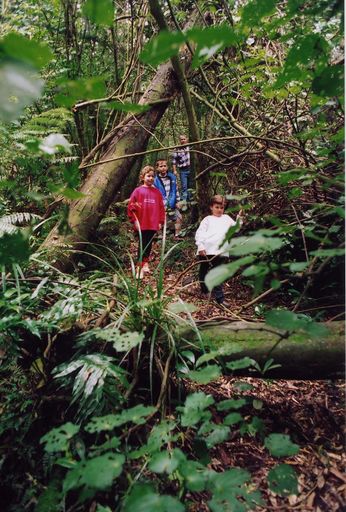 Lake Papaitonga Reserve