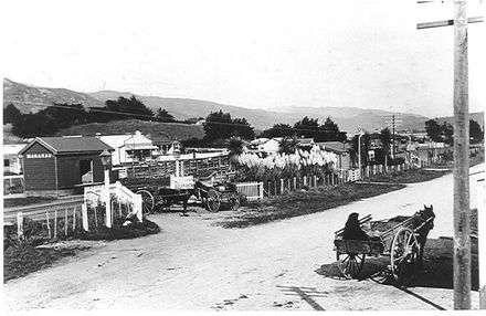 Manakau Settlement