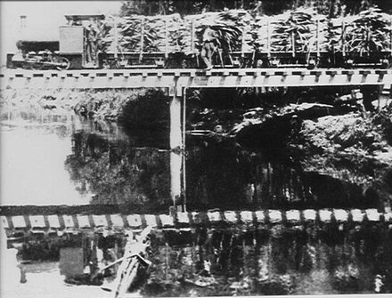 Flax train crossing Tokomaru River