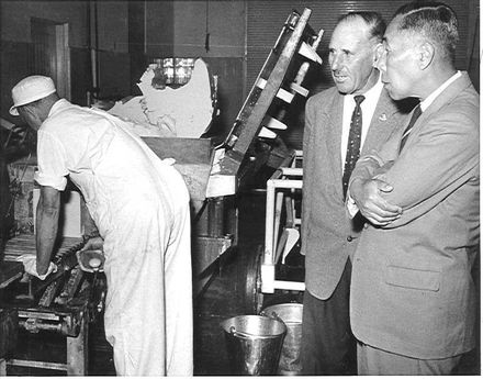 Tour of Dairy Factory, Levin