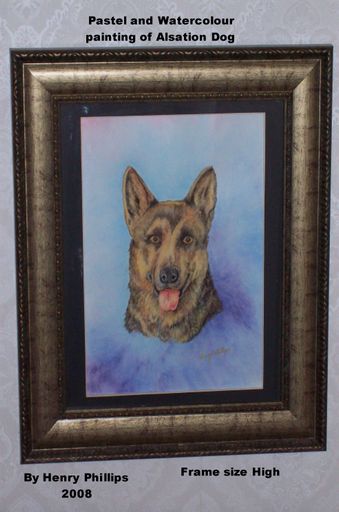 Alsation dog Pastel and water colour painting