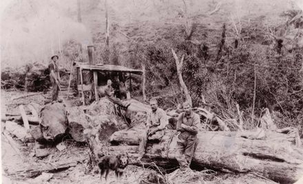 Logging, Steam Winches and Hauling Engine