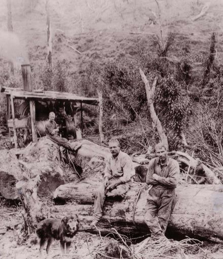 Logging, Steam Winches and Hauling Engine